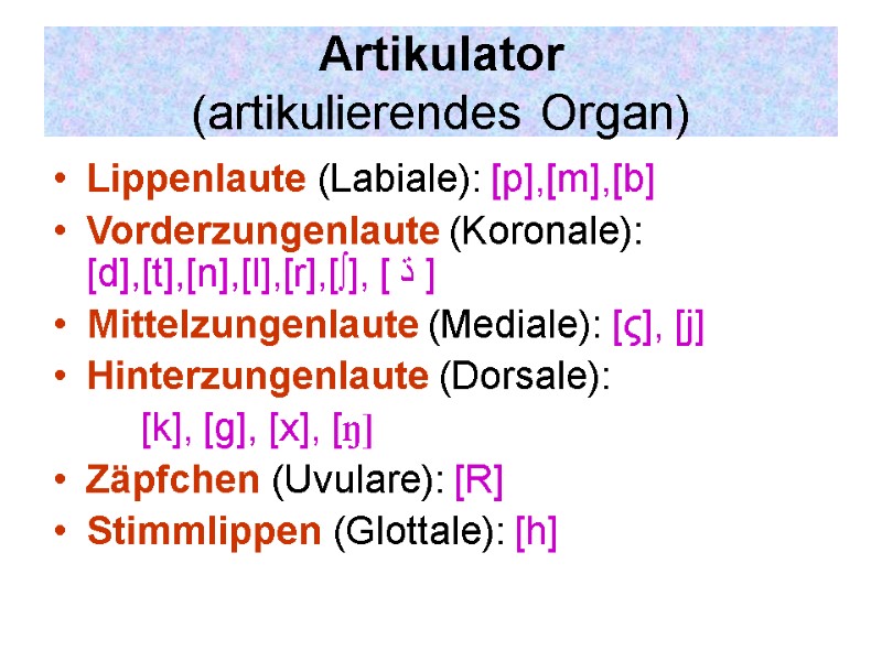 Artikulator  (artikulierendes Organ) Lippenlaute (Labiale): [p],[m],[b] Vorderzungenlaute (Koronale):    [d],[t],[n],[l],[r],[∫], [